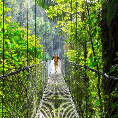 Hanging Bridges 